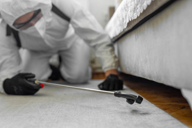 Professional Bed Bug Control technician working in Chandler, IN